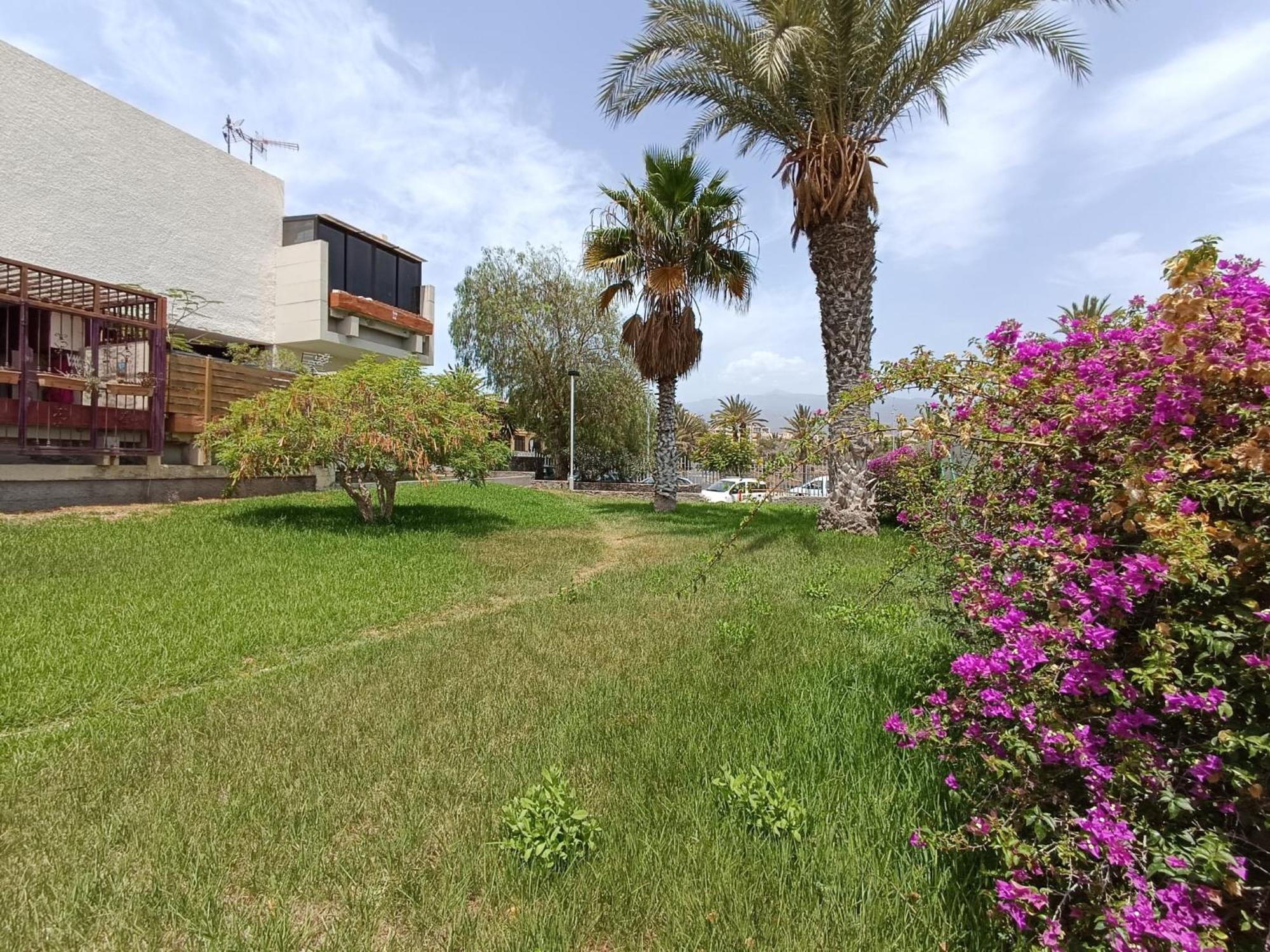 Apartment Tenerife South Coast Costa Del Silencio Buitenkant foto